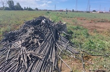 Gestione virtuosa dei rifiuti agricoli, accordo di programma PolieCo - Regione Puglia